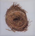 Wilco: A Ghost Is Born ( Vinyl )