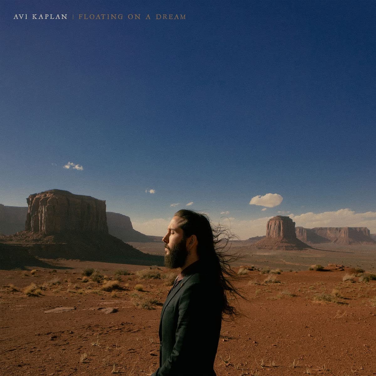 Avi Kaplan: Floating On A Dream ( Vinyl )