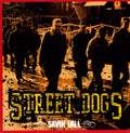 Street Dogs: Savin Hill ( Vinyl )