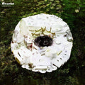 Bonobo: Days to Come ( Vinyl )