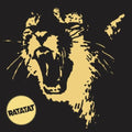 Ratatat: Classics ( Vinyl )