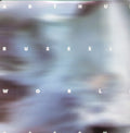 Arthur Russell: World of Echo ( Vinyl )